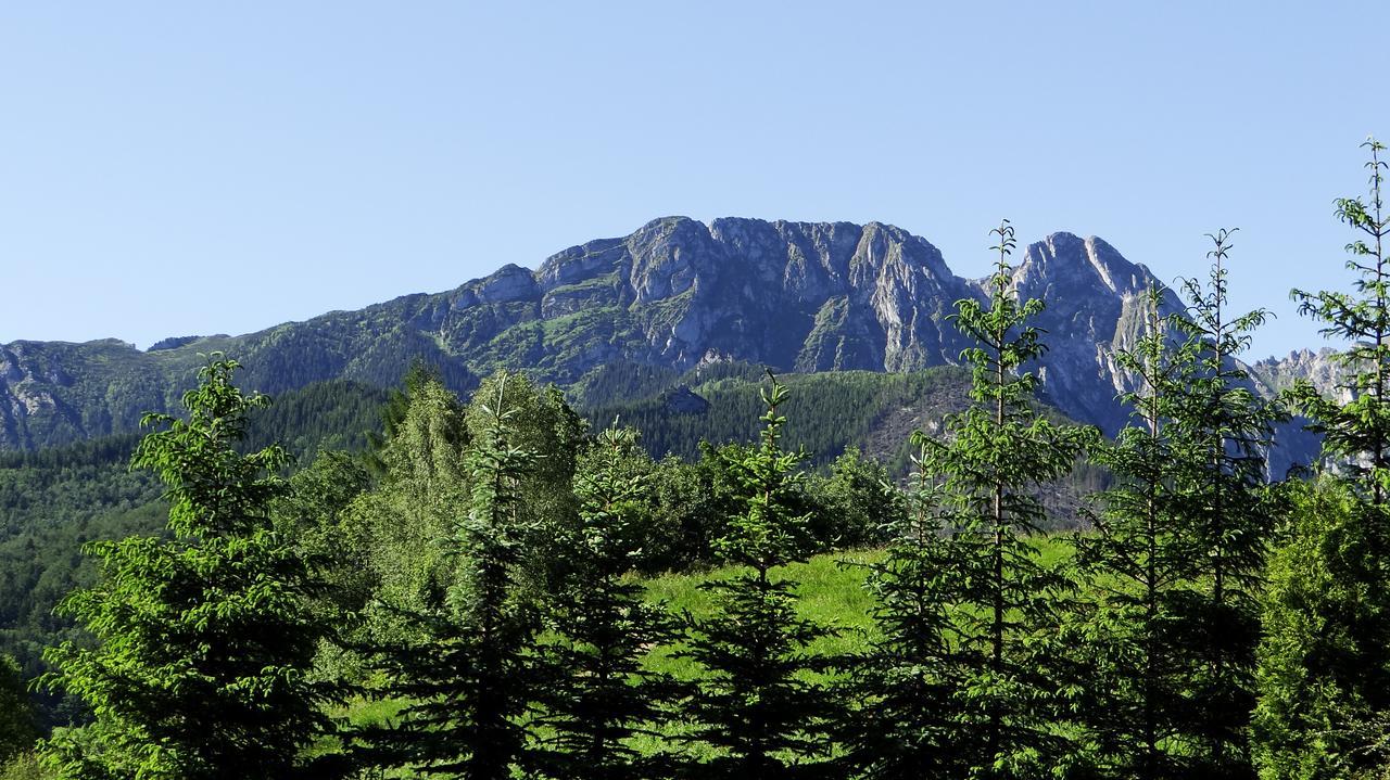 Apartament Promyk Pod Lipkami Apartzakop Zakopane Kültér fotó
